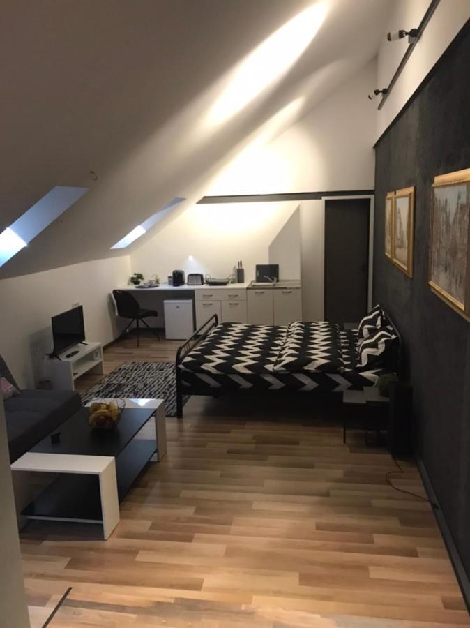 Savoya Nr3 Studio Old City Center Self Check-In Temešvár Exteriér fotografie